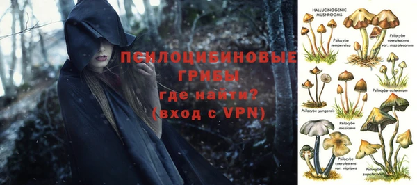 гашиш Белокуриха